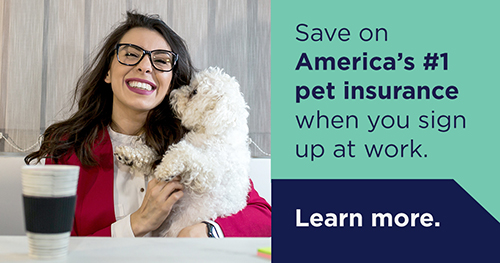 Save on America's #1 pet insurance when you sign up at work. Learn more.
