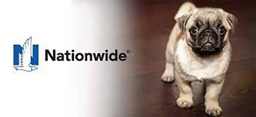 Nationwide Pet Protection with Any Licensed Veterinarian Worldwide