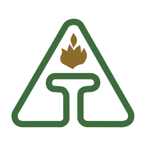 TRI-AD Logo